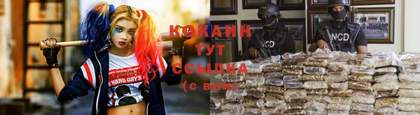альфа пвп Дмитриев