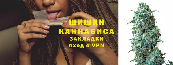 не бодяженный Гусев
