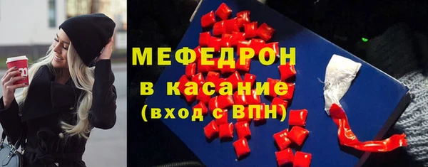 индика Дмитров
