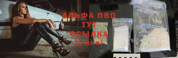 индика Дмитров