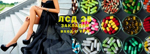 индика Дмитров