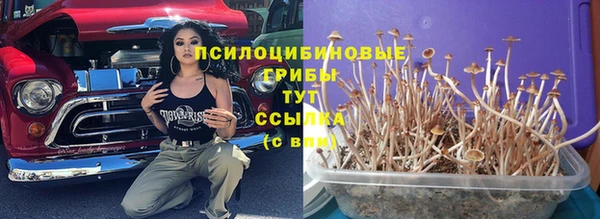 меф Гусь-Хрустальный