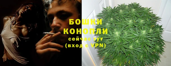 не бодяженный Гусев