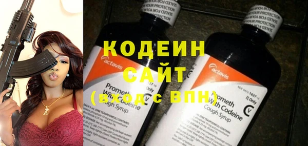 не бодяженный Гусев