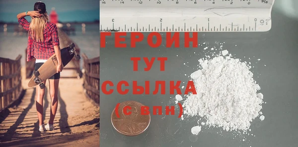 индика Дмитров